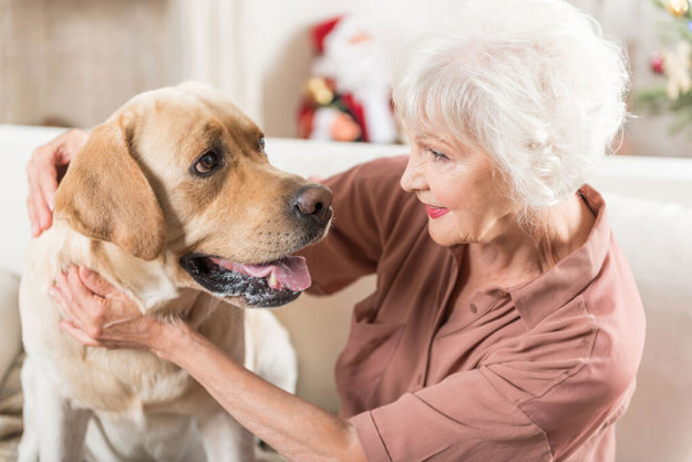 positive old female is sitting with pet positive old female is sitting with pet