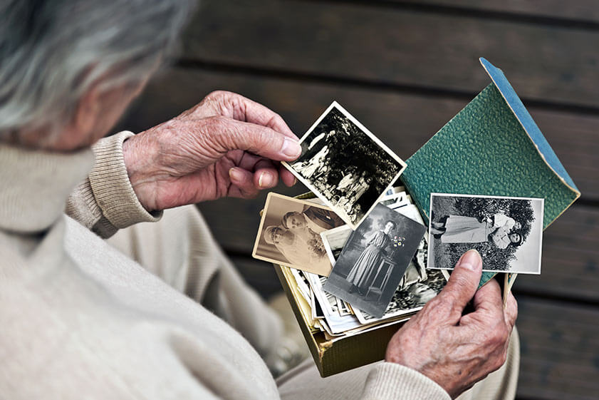 understanding dementia and alzheimers disease wh