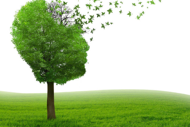 alzheiemer disease understanding symptoms alzheiemer disease understanding symptoms