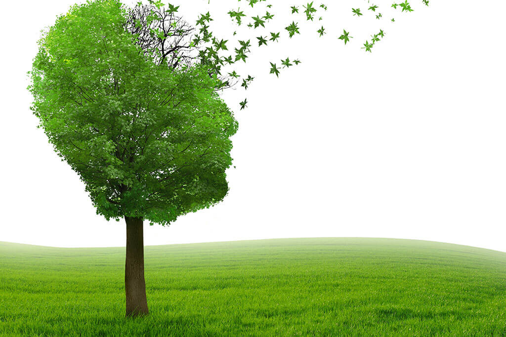 alzheiemer disease understanding symptoms