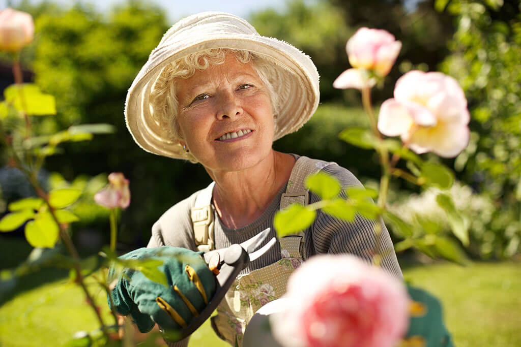 senior woman working in the garden senior woman working in the garden