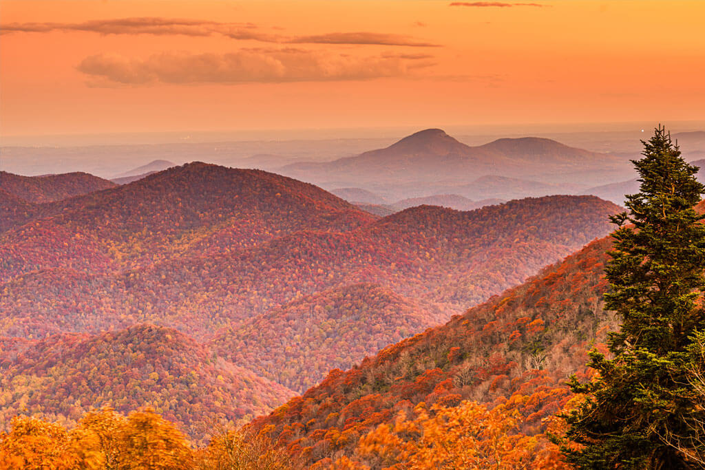 neighnour nature neighnour nature