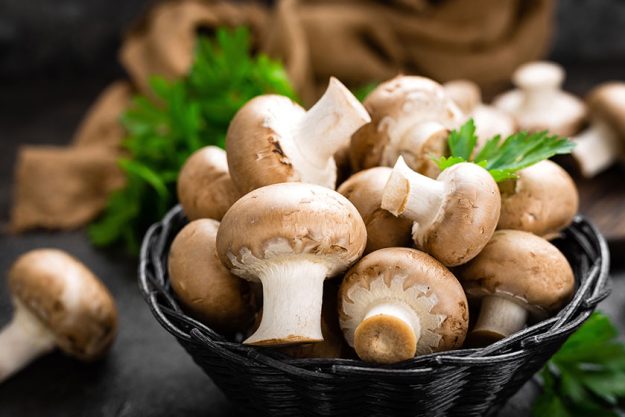 the benefits of consuming mushrooms in your golden years img