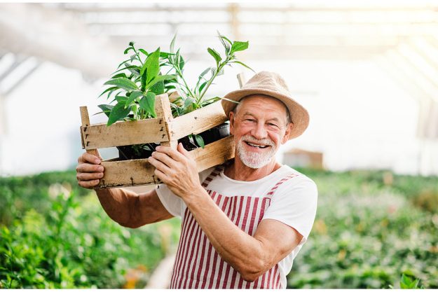 four summer activities for your elderly loved ones to stay active four summer activities for your elderly loved ones to stay active