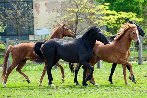 3 best lexington vc vineyards to visit with your loved on 3 best lexington vc vineyards to visit with your loved on