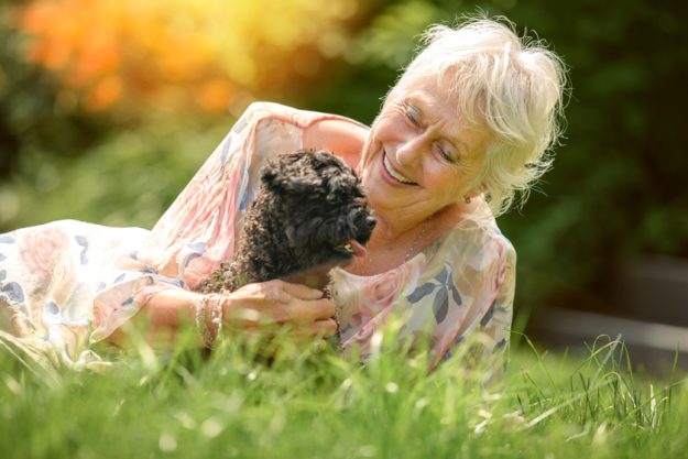Questions You Must Ask When Choosing A Pet Friendly Senior Housing In Berea Questions You Must Ask When Choosing A Pet Friendly Senior Housing In Berea