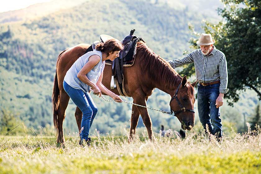 a senior couple holding a horse grazing on a pasture