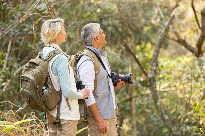 enjoyable activities to do when retiring near apex nc