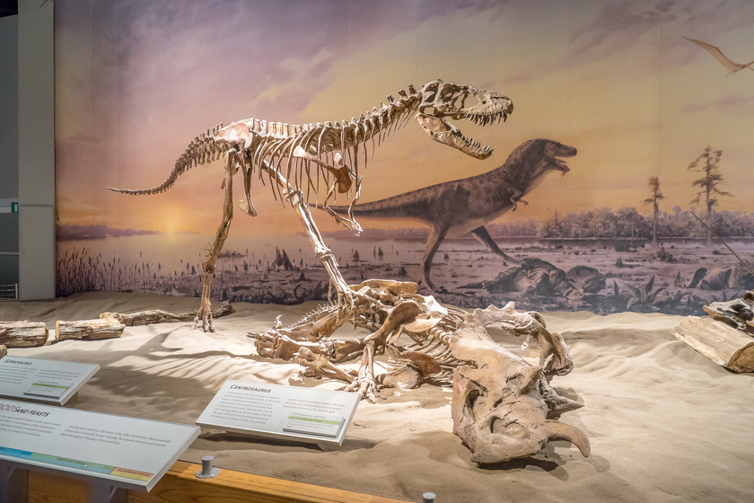 4 museums that deserve a visit when retiring in greenville sc img