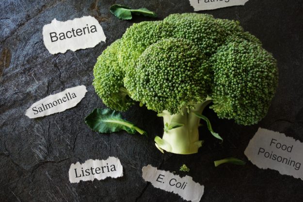 Food Poisoning Prevention Tips For Your Senior Loved One