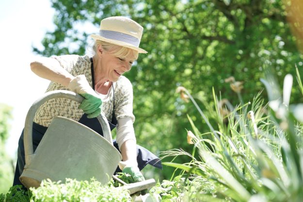 4 Reasons To Start Gardening In Your Independent Living Near Myrtle Beach