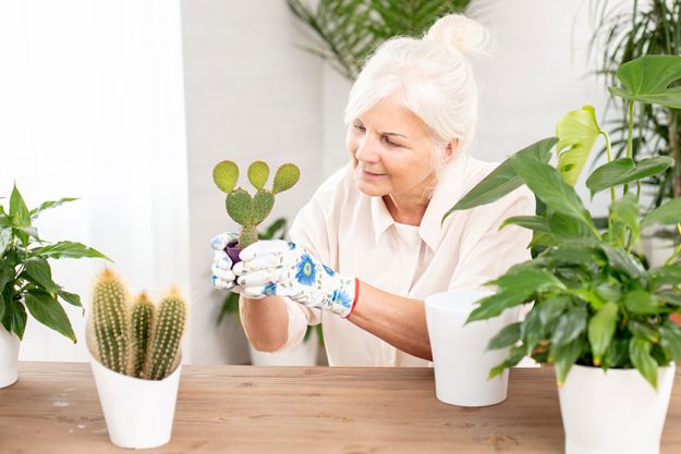 5 creative activities to do in your hurl rocks sc senior independent img