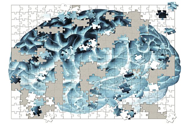 Is It Dementia Or Alzheimers Disease Understanding The Differences