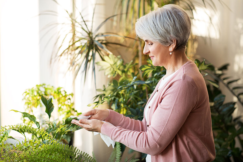 The Importance Of Good Air Quality At Senior Assisted Living In Durham NC