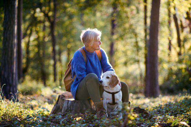 What Makes Dunwoody The Best Suburb To Retire In Metro Atlanta GA What Makes Dunwoody The Best Suburb To Retire In Metro Atlanta GA