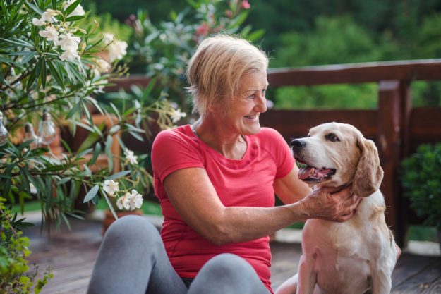 Why You Should Consider Pet Friendly Assisted Living For Your Aging Parent Why You Should Consider Pet Friendly Assisted Living For Your Aging Parent