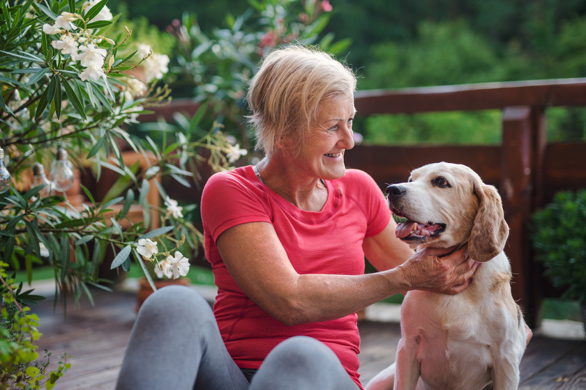 Why You Should Consider Pet Friendly Assisted Living For Your Aging Parent Why You Should Consider Pet Friendly Assisted Living For Your Aging Parent