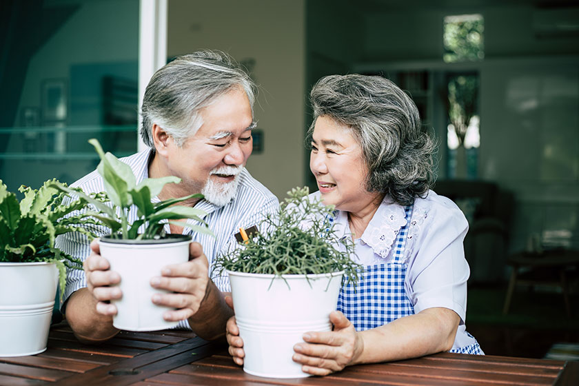 gardening in carver park sc independent living your tool img