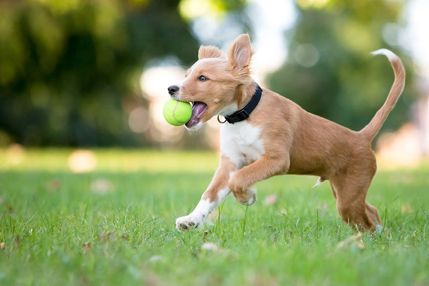 staying in independent senior living apartments in shoals view ga 5 worst img staying in independent senior living apartments in shoals view ga 5 worst img