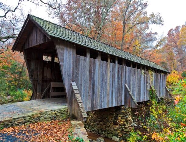 AdobeStock 87465551 1 AdobeStock 87465551 1