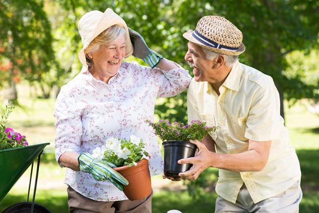 happy senior couple gardening