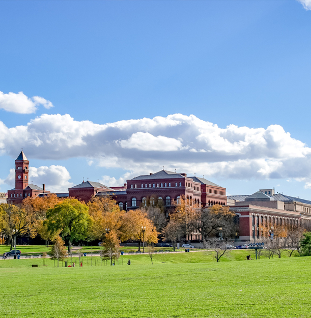 marchbank about img1