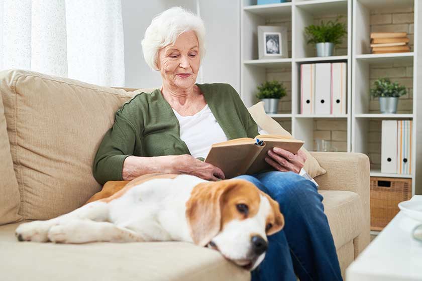 portrait of elegant senior woman reading book sitting on couch
