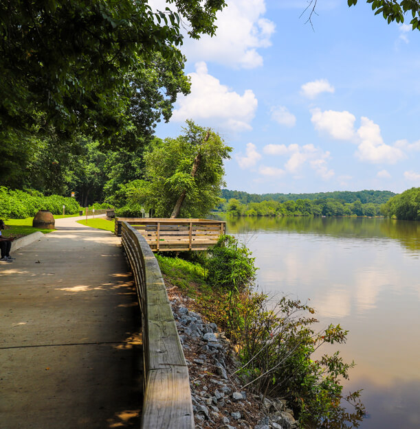 roswell about image1