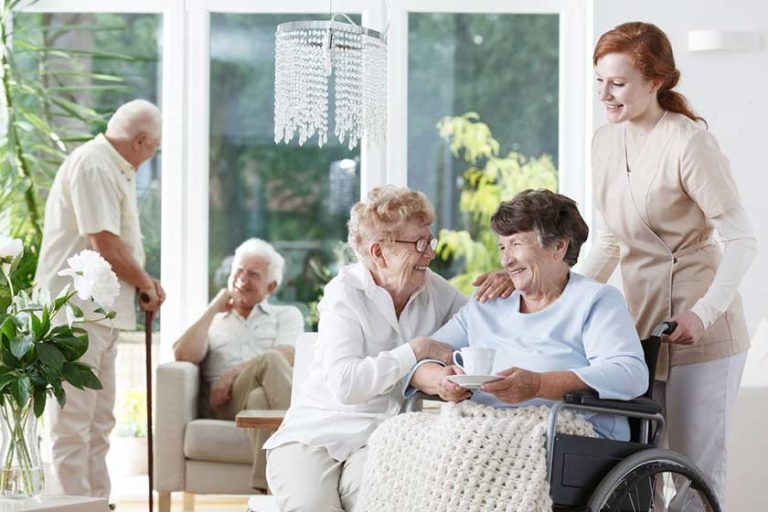 caregiver taking care of disabled elderly woman on the wheelchair