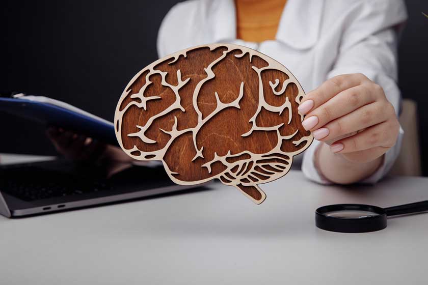 doctor holding wooden brain