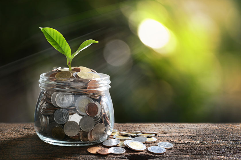 plant growing in savings coins jar and coins