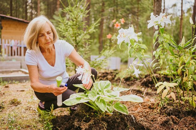 woman caring for plants