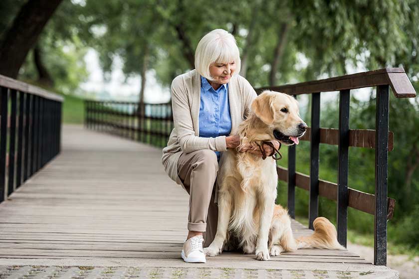 senior woman with golden retriever dog