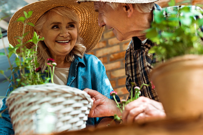 senior woman straw hat smiling husband green plants senior woman straw hat smiling husband green plants