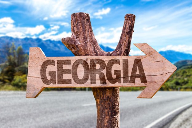 georgia wooden sign