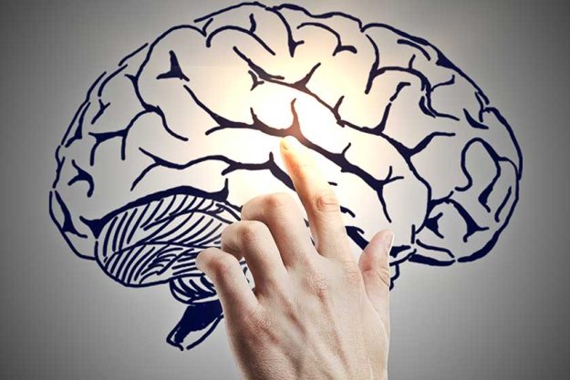 hand pointing at brain drawing