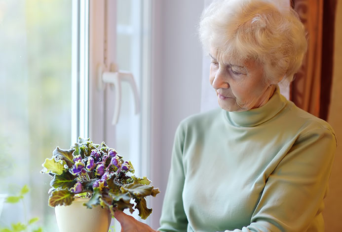 portrait of beautiful senior woman with curly gray hair elderly is standing by the window