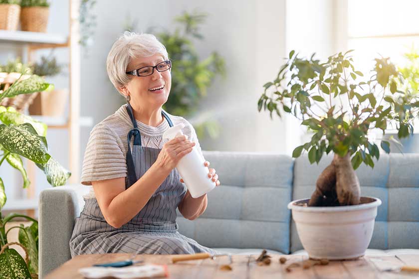 woman caring plants home spring woman caring plants home spring
