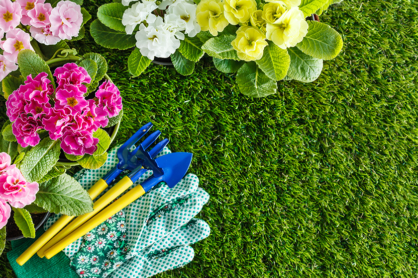 equipment with spring flowers equipment with spring flowers