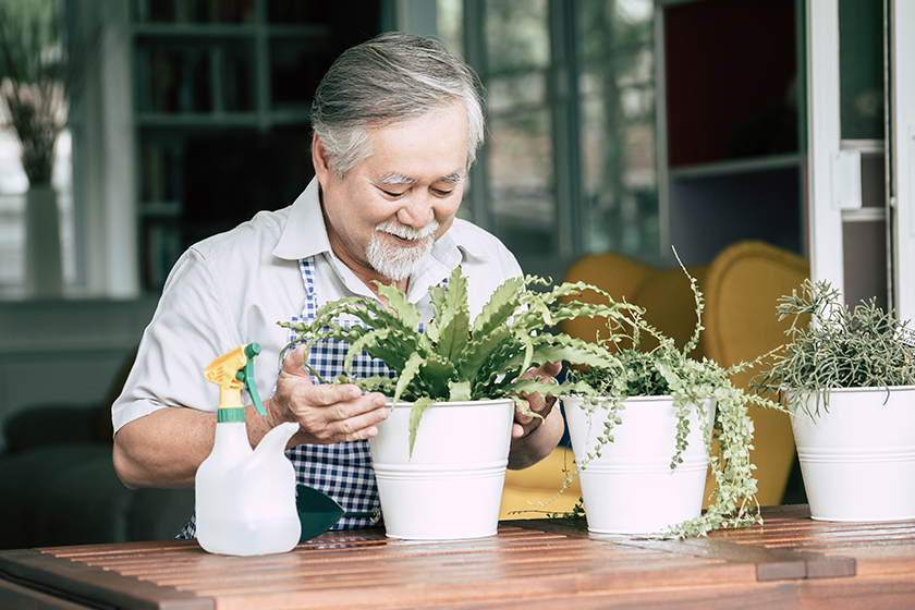senior man plant tree home