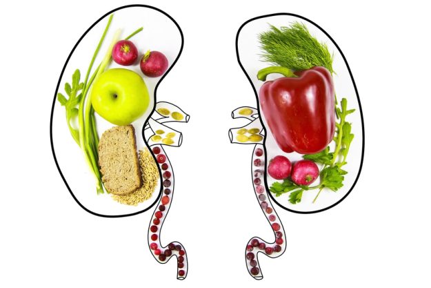 how seniors can maintain healthy kidneys in 55 plus communities in charlotte nc