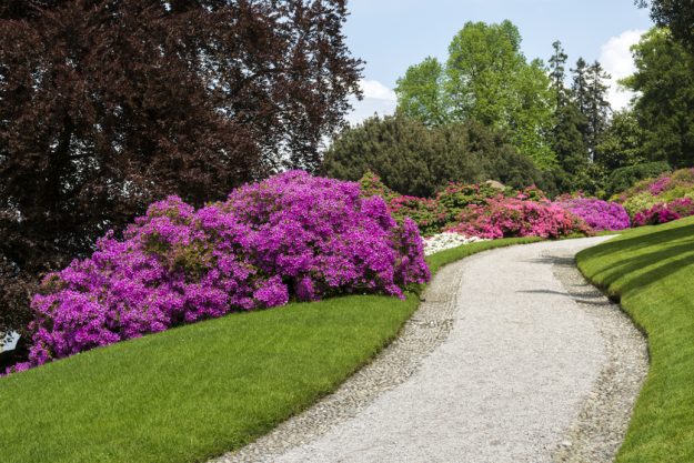 the natural beauty 7 botanical gardens near senior homes in green bay park sc