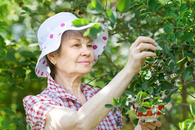 senior female in garden senior female in garden