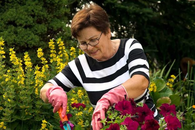 senior lady in the garden senior lady in the garden
