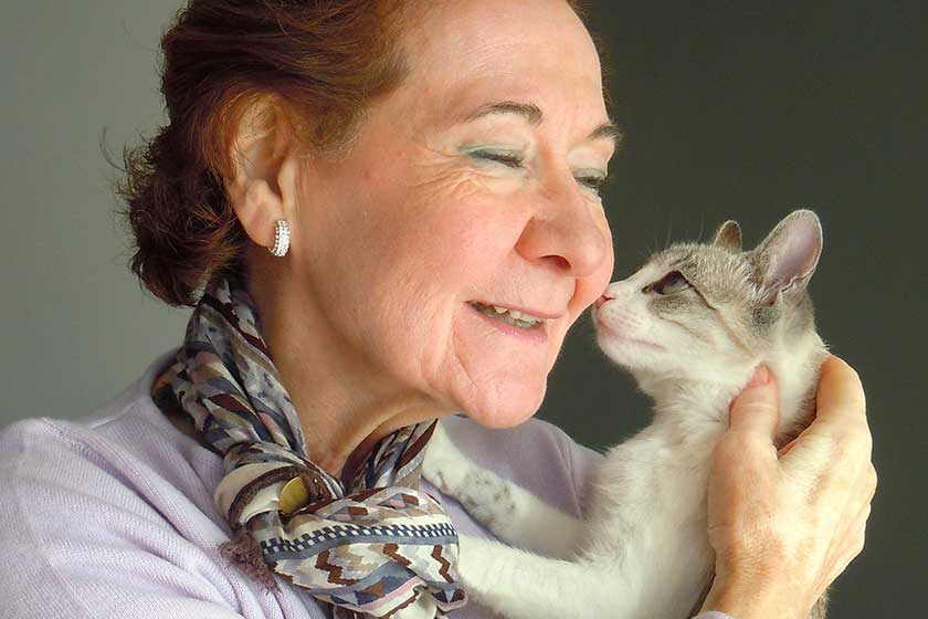 your great company your great company