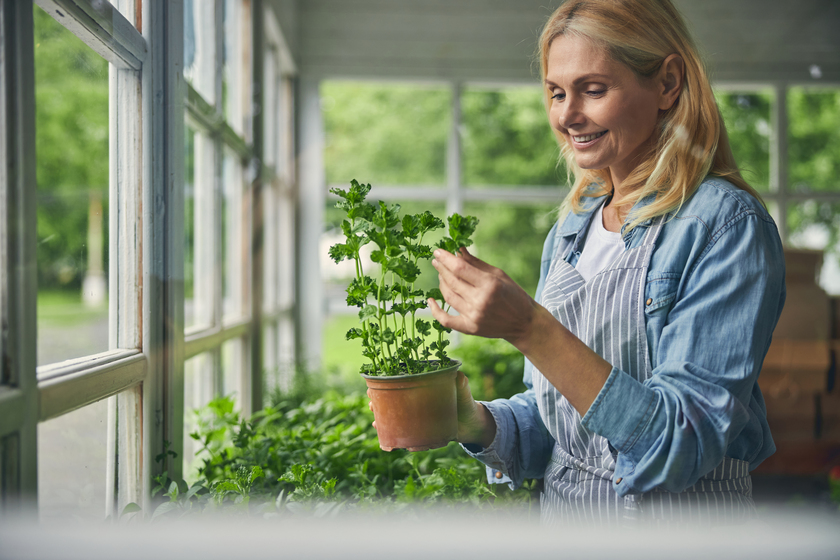 15 best indoor sensory activities you should do while aging in a memory care property in greenville sc