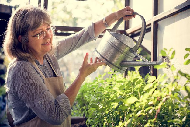 6 natural treatments for lewy body dementia in the retirement community img
