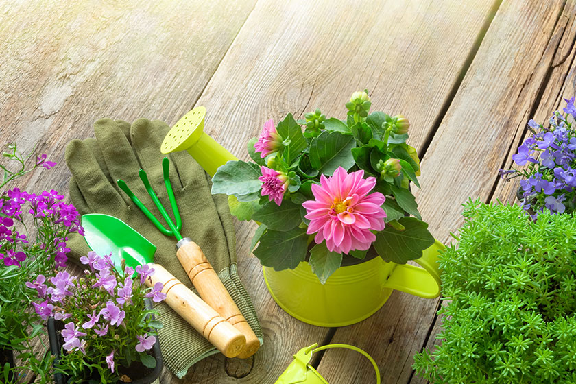 the benefits of gardening for the residents in alzheimers care in img
