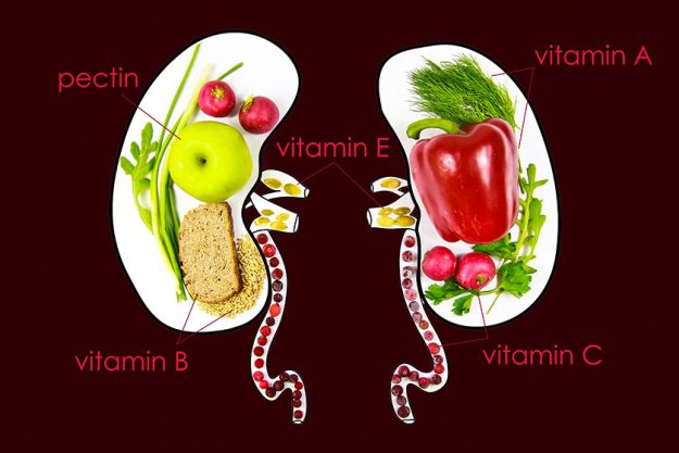 food for the health and purification of the kidneys greens food for the health and purification of the kidneys greens