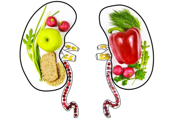 food for the health and purification of the kidneys isolate on a white background 